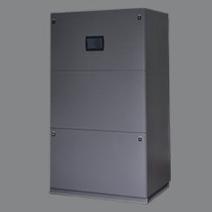 �����L�C�����C